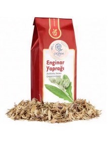 Enginar Yaprağı
