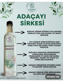 ADAÇAYI SİRKESİ