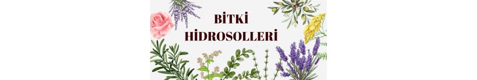 Bitki Hidrosolleri Bitki Hidrosolleri