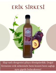 ERİK SİRKESİ