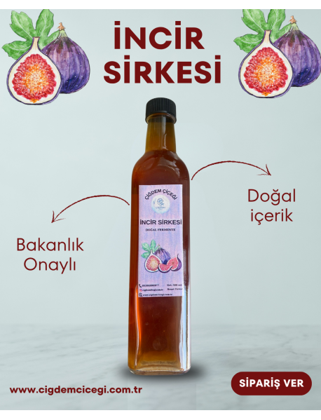 İNCİR SİRKESİ