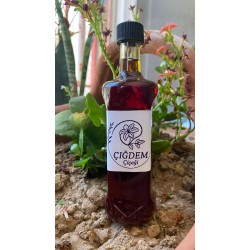 KABAK ÇEKİRDEĞİ YAĞI (100 Ml)