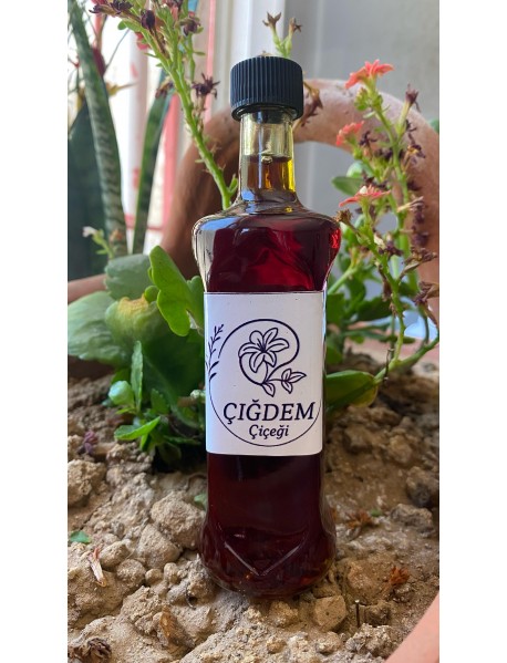 KABAK ÇEKİRDEĞİ YAĞI (100 Ml)