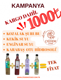 KAMPANYA 