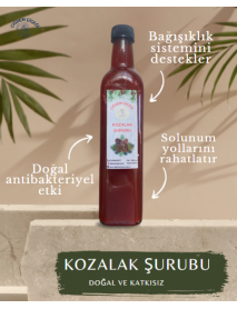 KOZALAK ŞURUBU 