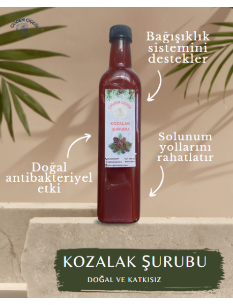 KOZALAK ŞURUBU 