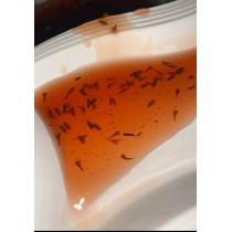 LAVANTA REÇELİ 