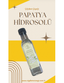 PAPATYA SUYU (250 ML)
