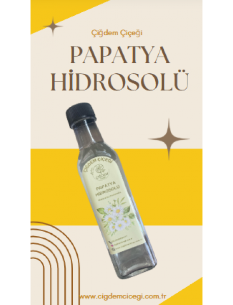 PAPATYA SUYU (250 ML)